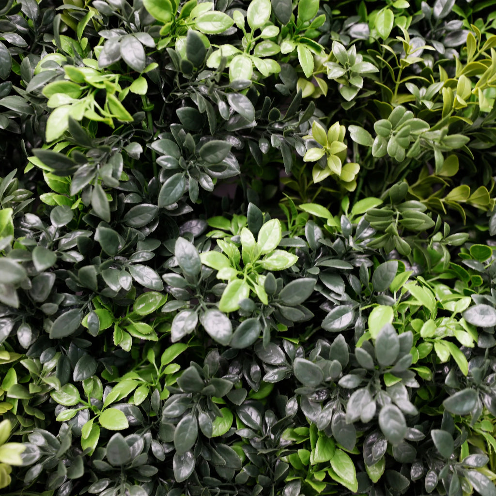 Dark Green Extra Dense Commercial Grade Boxwood Panel 40" x 40" UV + FR Metal Frame