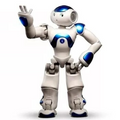 Advanced Humanoid AI Companion Robot for Adults with Multi-Sensory Interaction and Global Communication