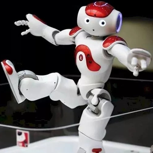 Advanced Humanoid AI Companion Robot for Adults with Multi-Sensory Interaction and Global Communication