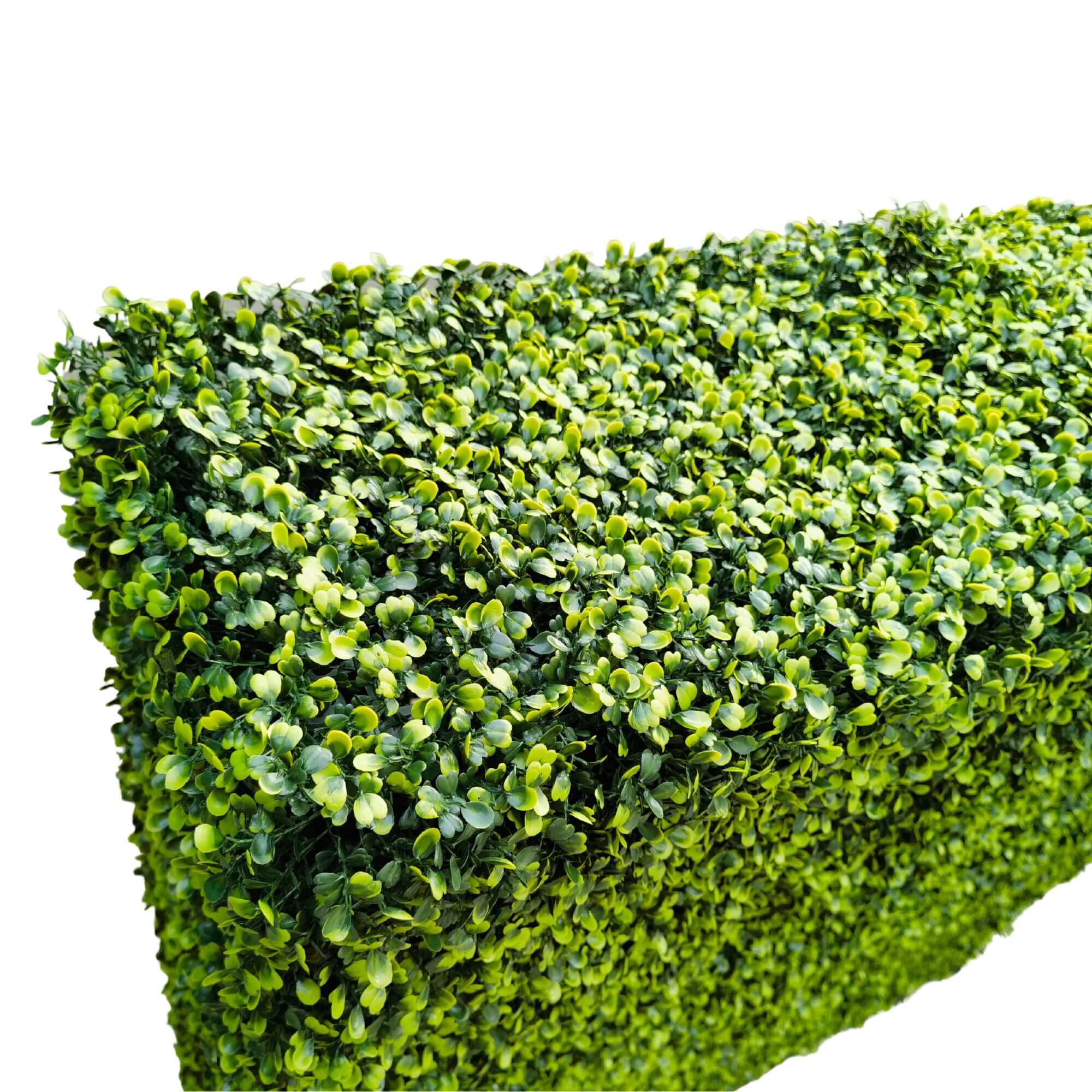 Premium Light Green Artificial Boxwood Hedge 30"L x 30"H