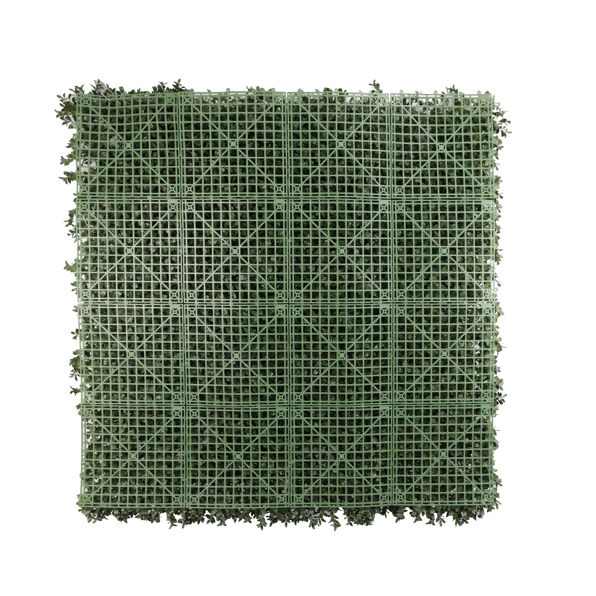 Natural Dark Green Extra Dense Boxwood Foliage 1m x 1m /40″x40″ Vertical Garden Wall UV+ FR