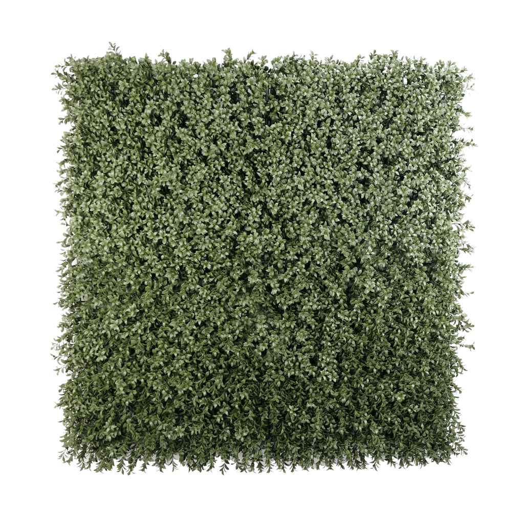 Natural Dark Green Extra Dense Boxwood Foliage 1m x 1m /40″x40″ Vertical Garden Wall UV+ FR