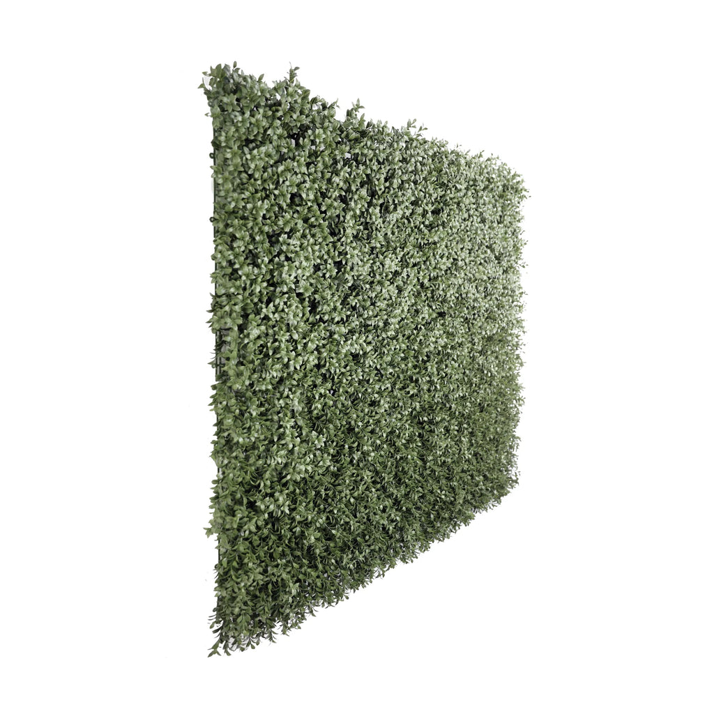 Natural Dark Green Extra Dense Boxwood Foliage 1m x 1m /40″x40″ Vertical Garden Wall UV+ FR