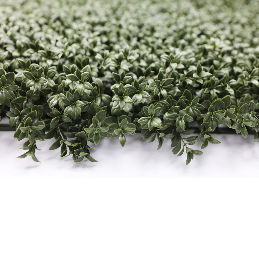 Natural Dark Green Extra Dense Boxwood Foliage 1m x 1m /40″x40″ Vertical Garden Wall UV+ FR