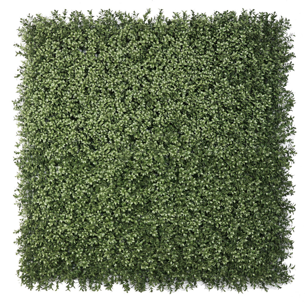 Natural Dark Green Extra Dense Boxwood Foliage 1m x 1m /40″x40″ Vertical Garden Wall UV+ FR