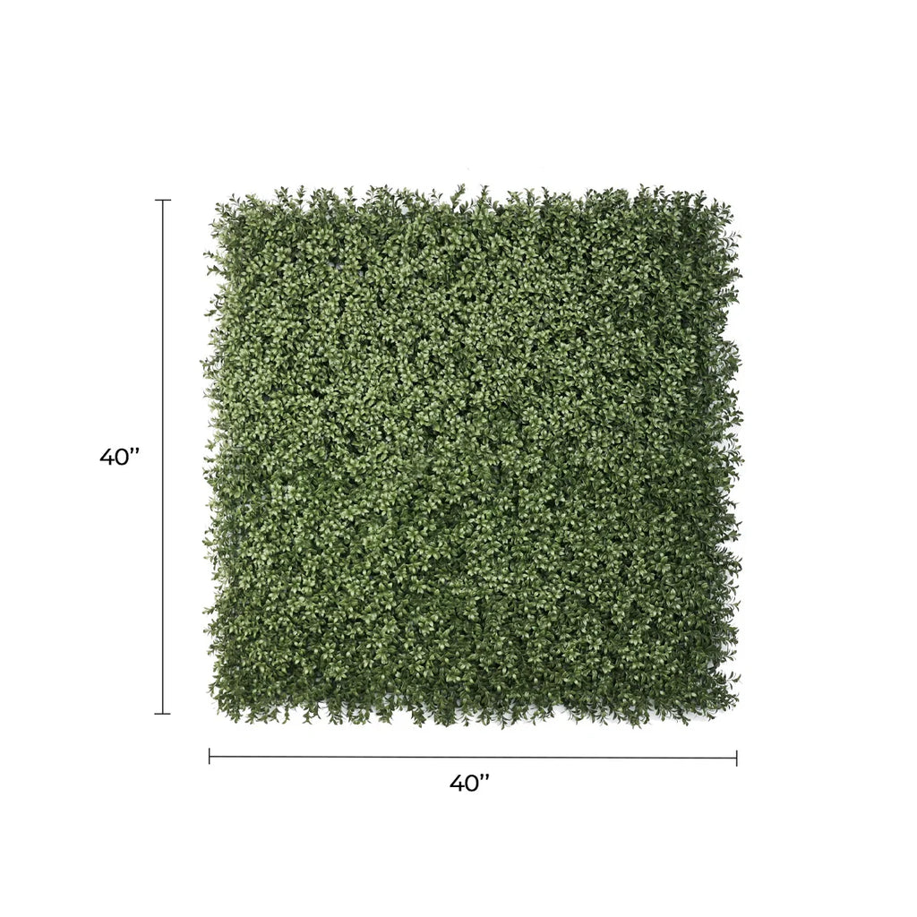 Natural Dark Green Extra Dense Boxwood Foliage 1m x 1m /40″x40″ Vertical Garden Wall UV+ FR