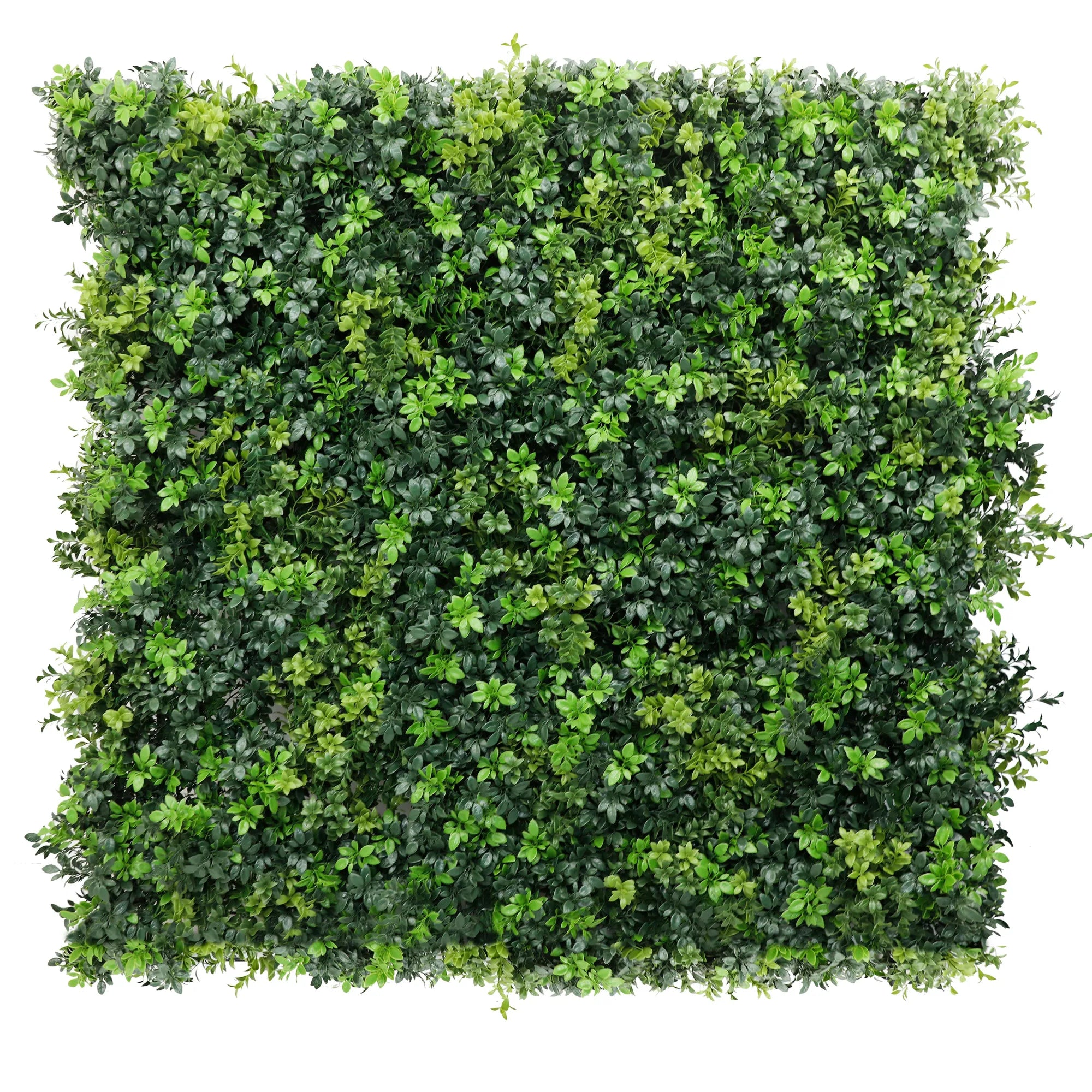 Dark Green Extra Dense Commercial Grade Boxwood Panel 40" x 40" UV + FR Metal Frame