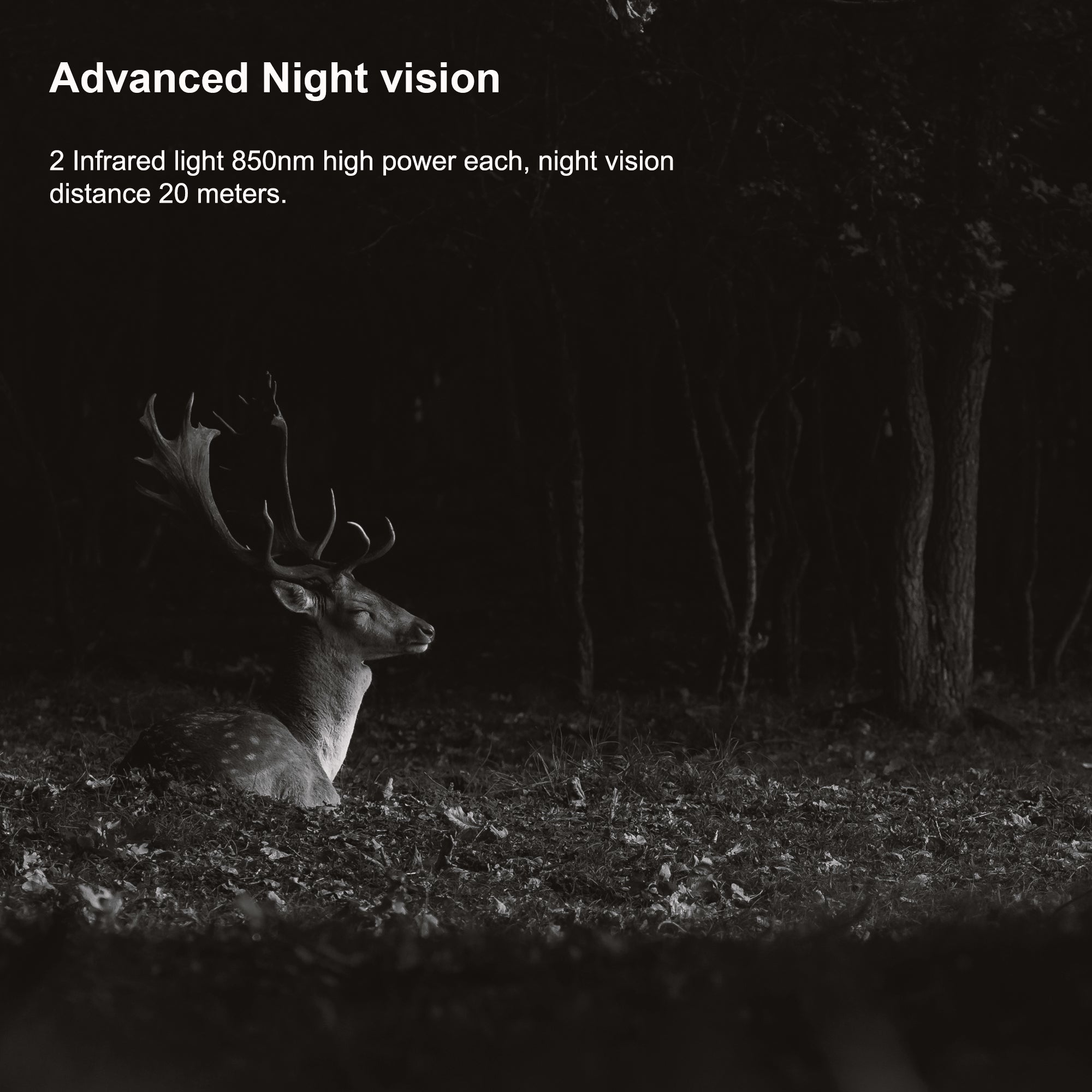 Rexing Woodlens H2 4K Wi-Fi Trail Camera (1 Pack)