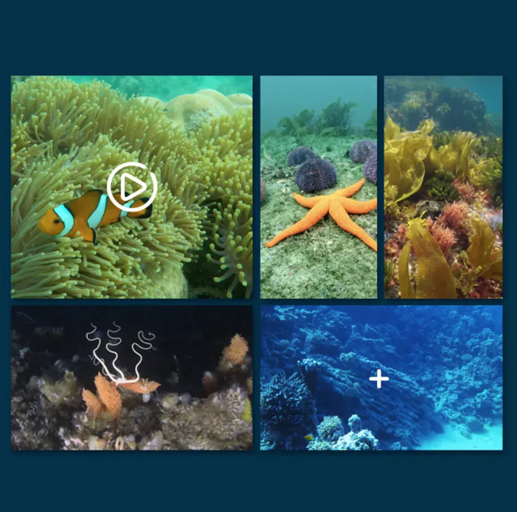 Remote Control Underwater Drone Camera Boat