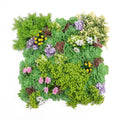 Artificial Dense Succulent Green Wall / Vertical Garden Panel 20" x 20" UV Resistant