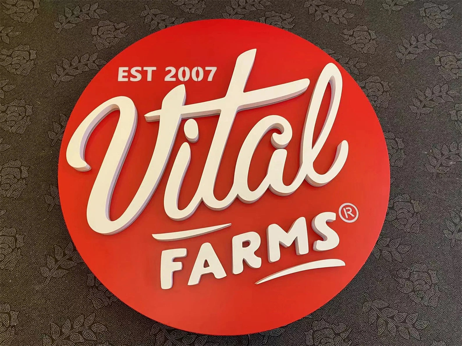 Custom Backlit 3D Acrylic Business Sign with Metal Backplate